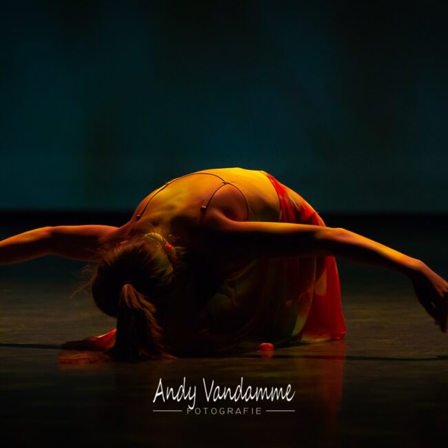 60337221_1505161322953854_8178264832831651840_o