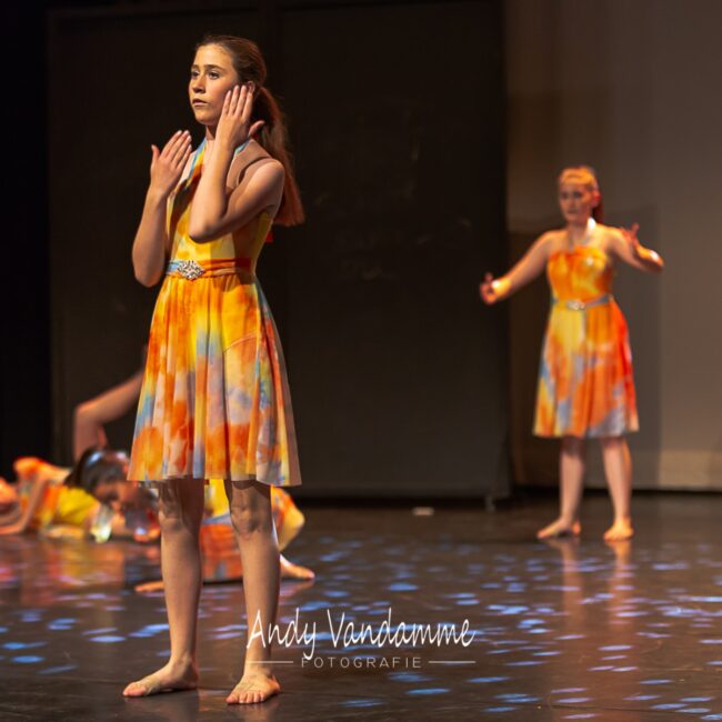 60339115_1505162342953752_2260863487464964096_o