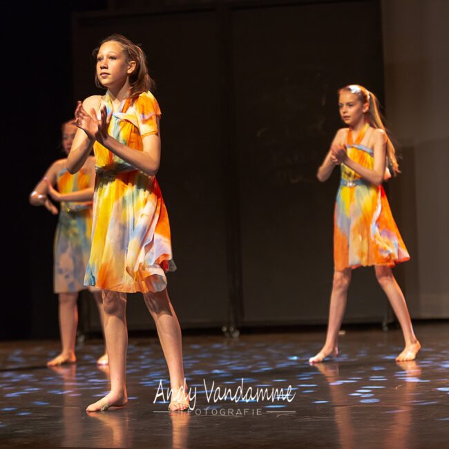 60340742_1505161079620545_460291696651927552_o